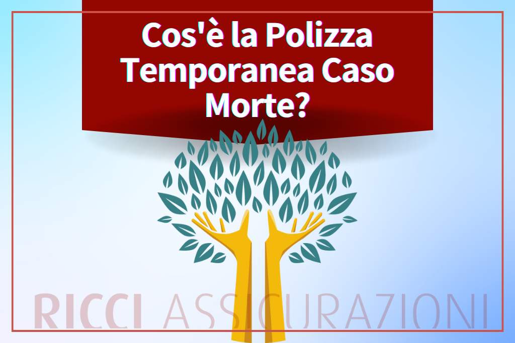 Cos’è la Polizza Temporanea Caso Morte